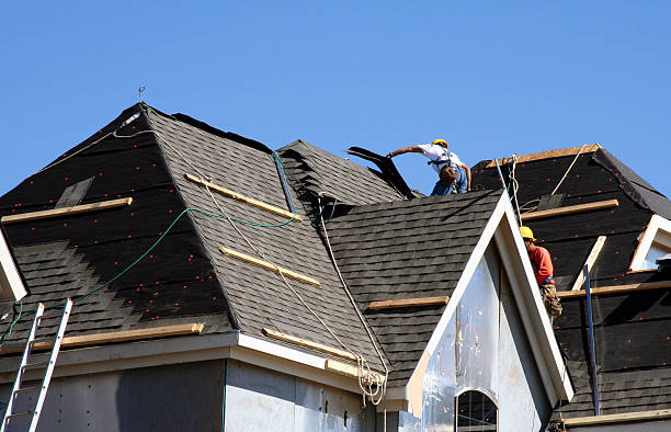 Best Gutter Installation and Roofing  in Lam, AR